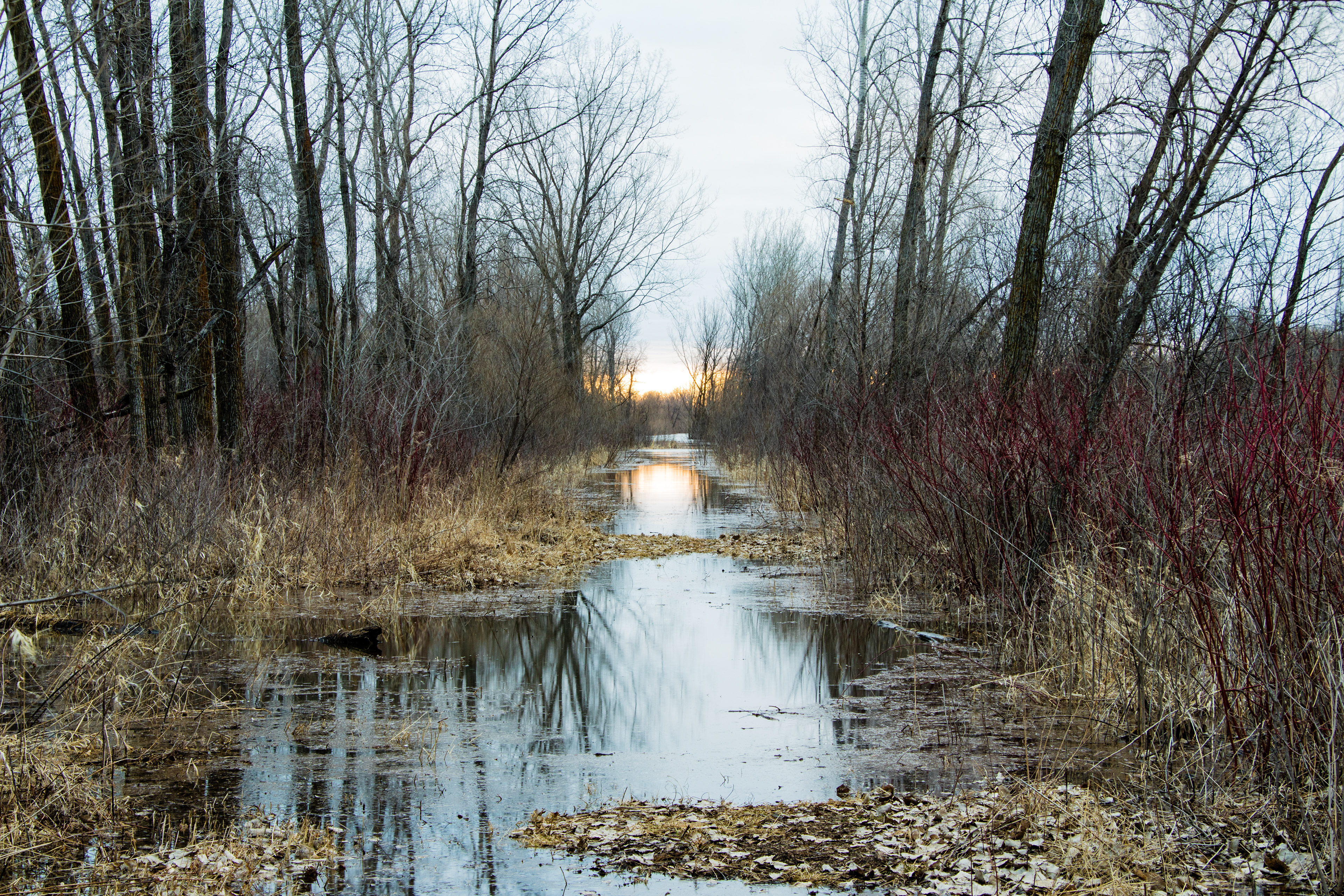 Early spring flooding inundates a trail in Burnsville.