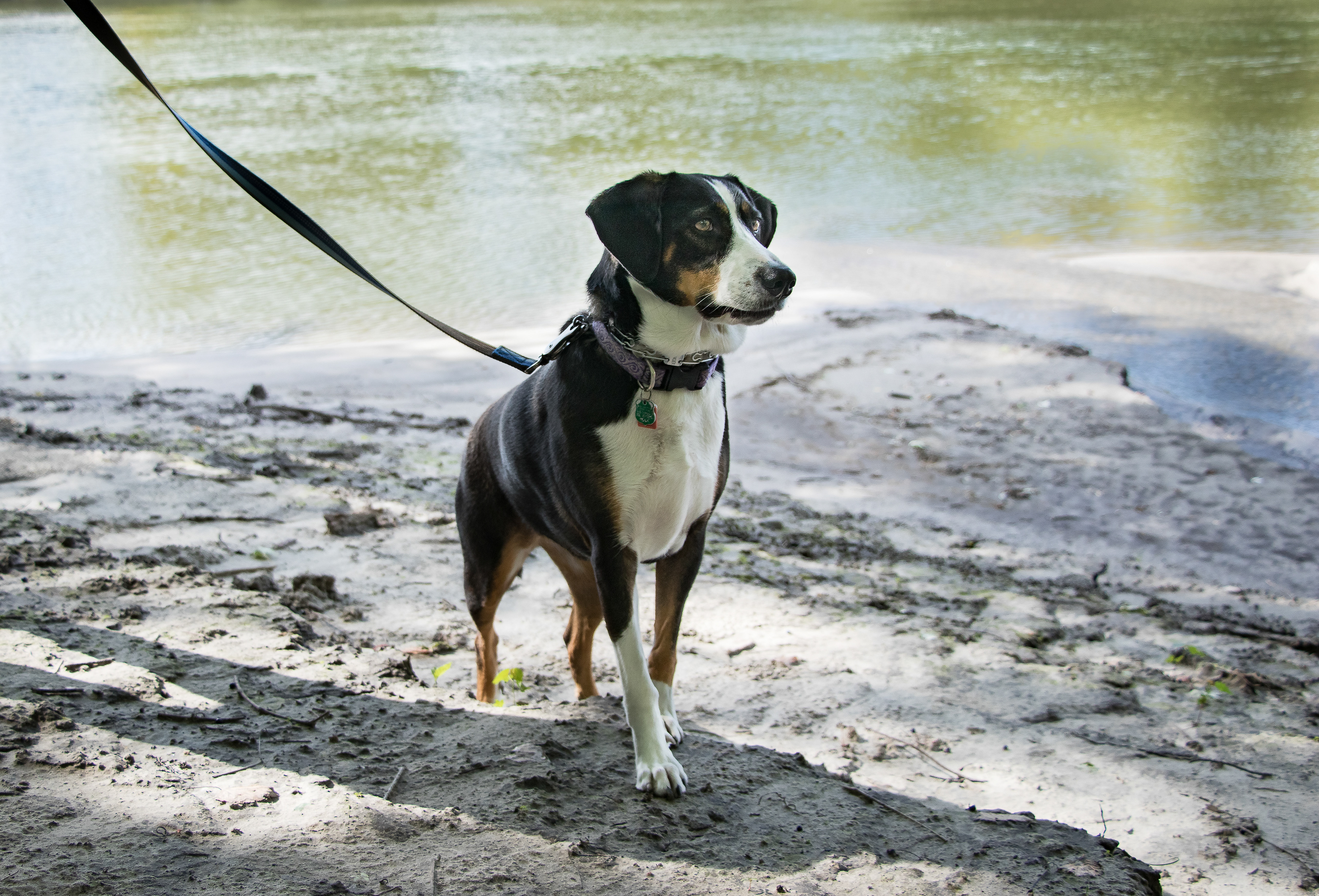 Georgia watches for hobgoblins on the river bank.