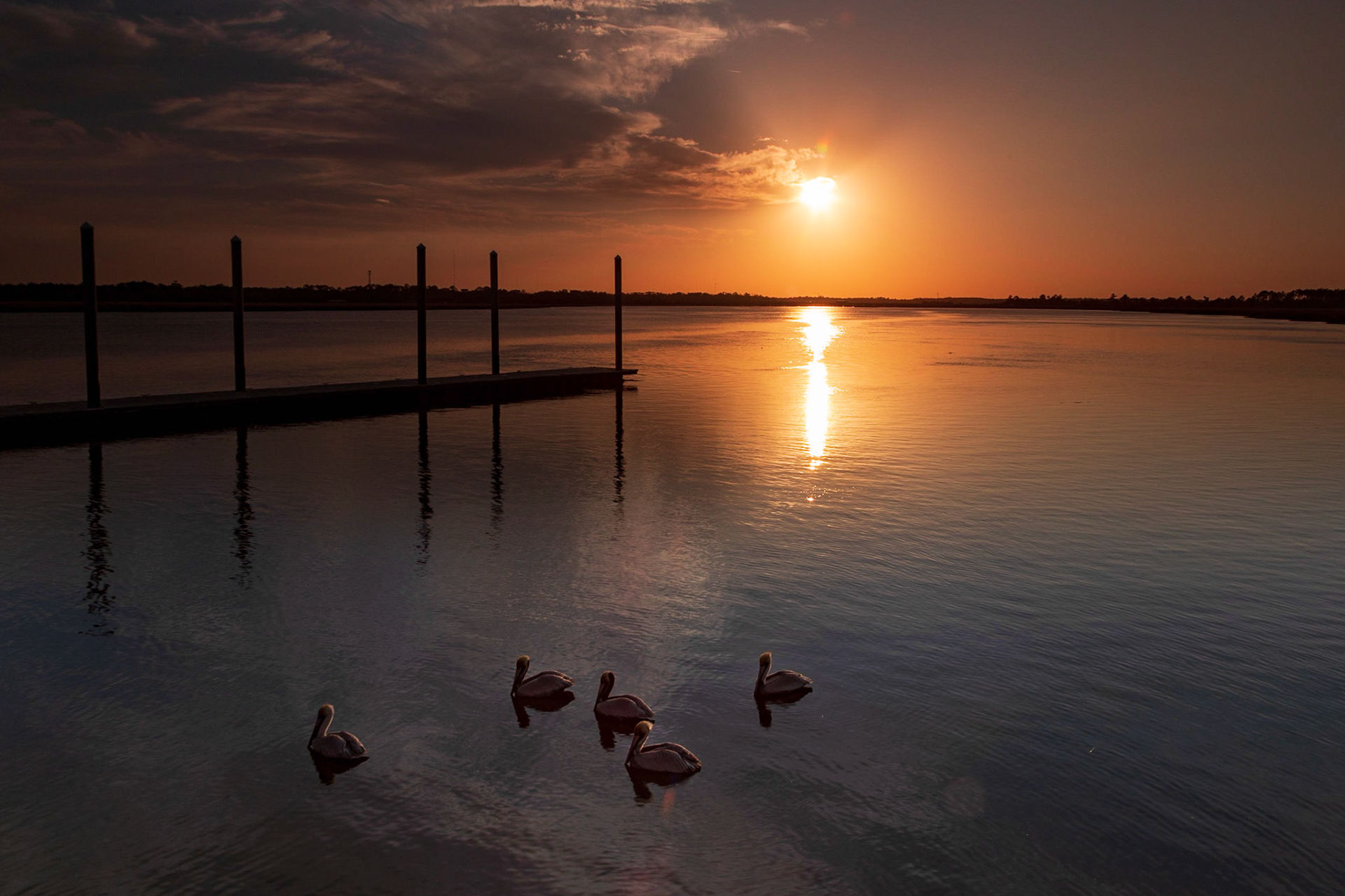 Pelican Sunset