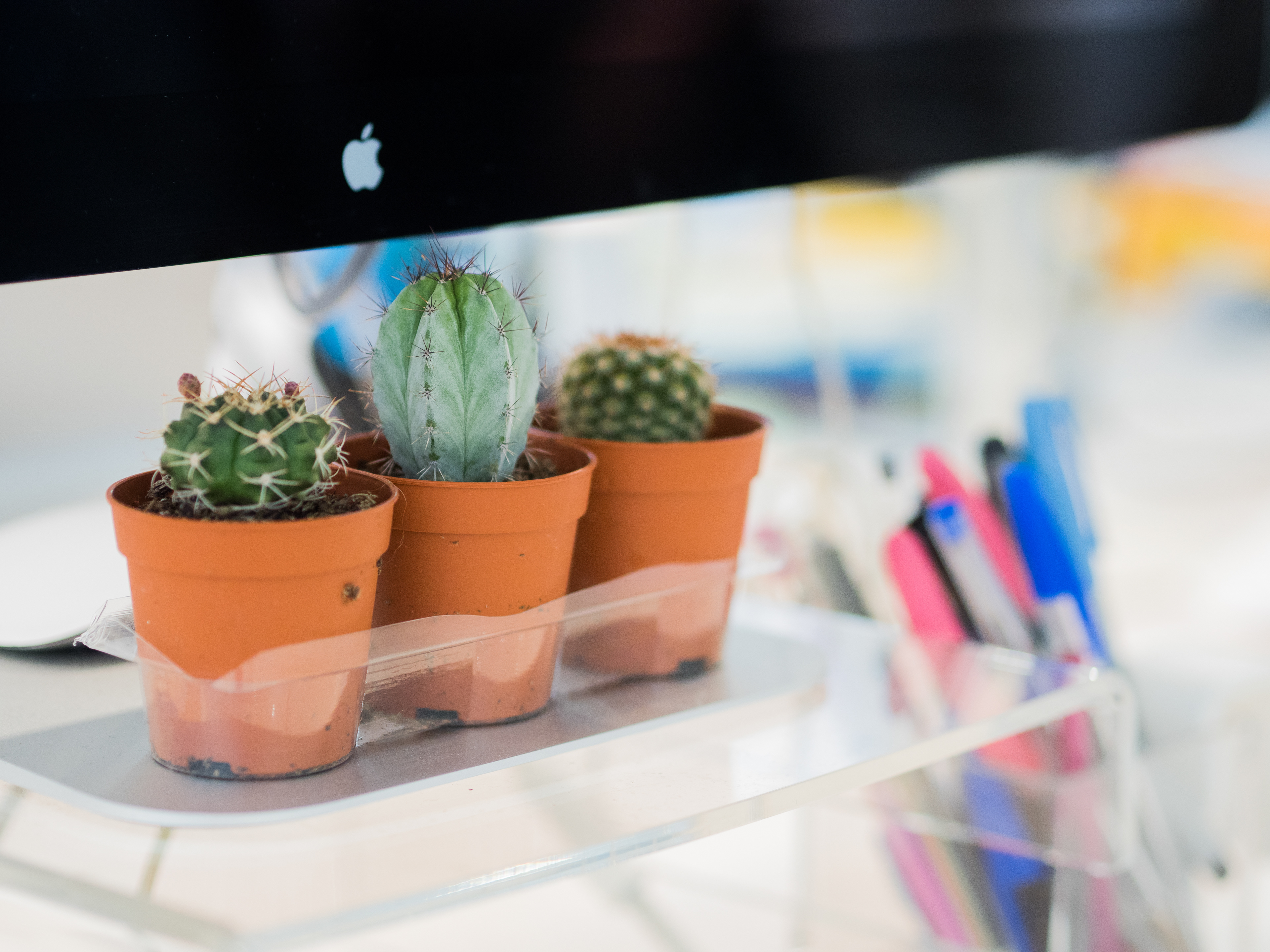 Office culture