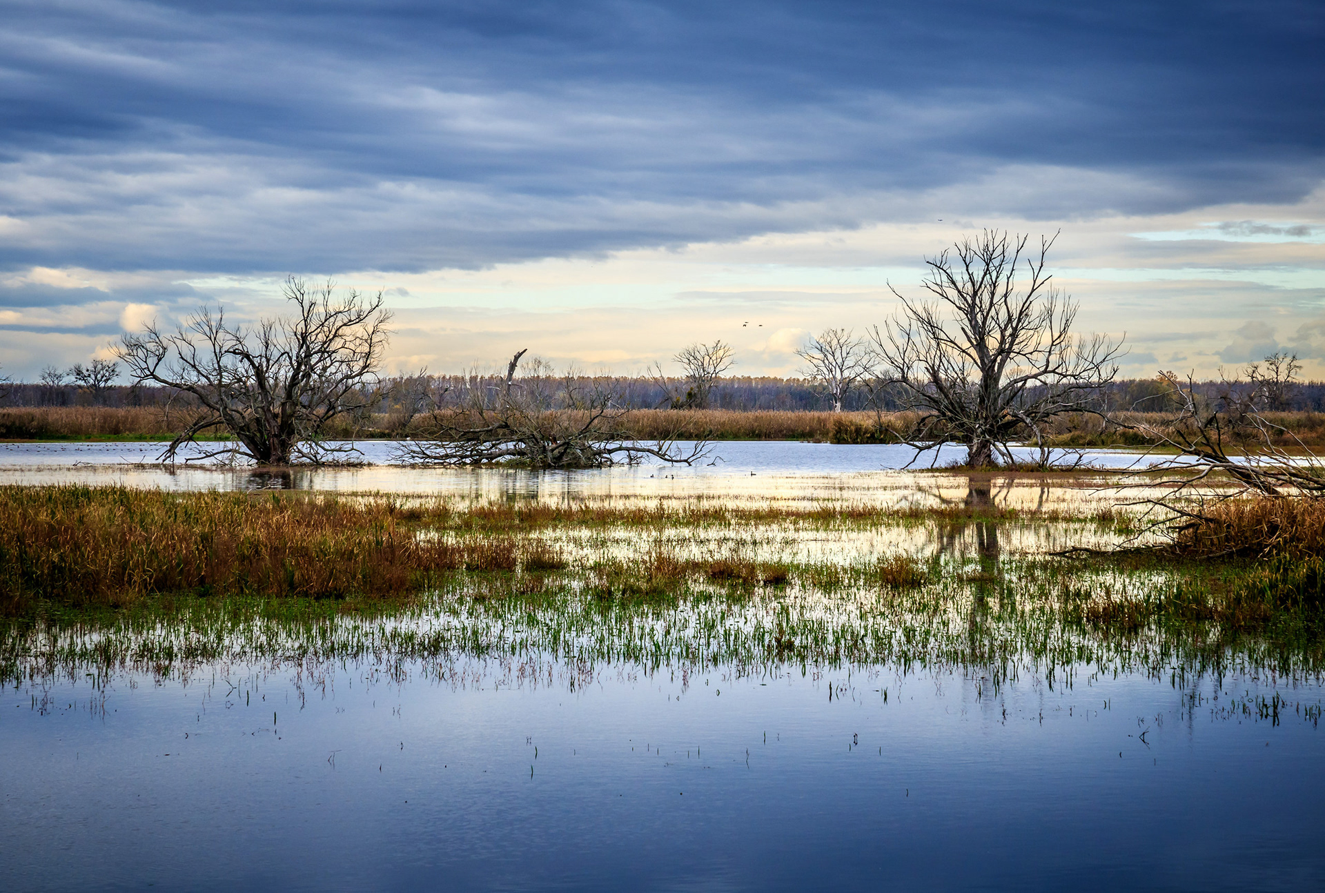 2017 - Osli-Hany, NW Hungary