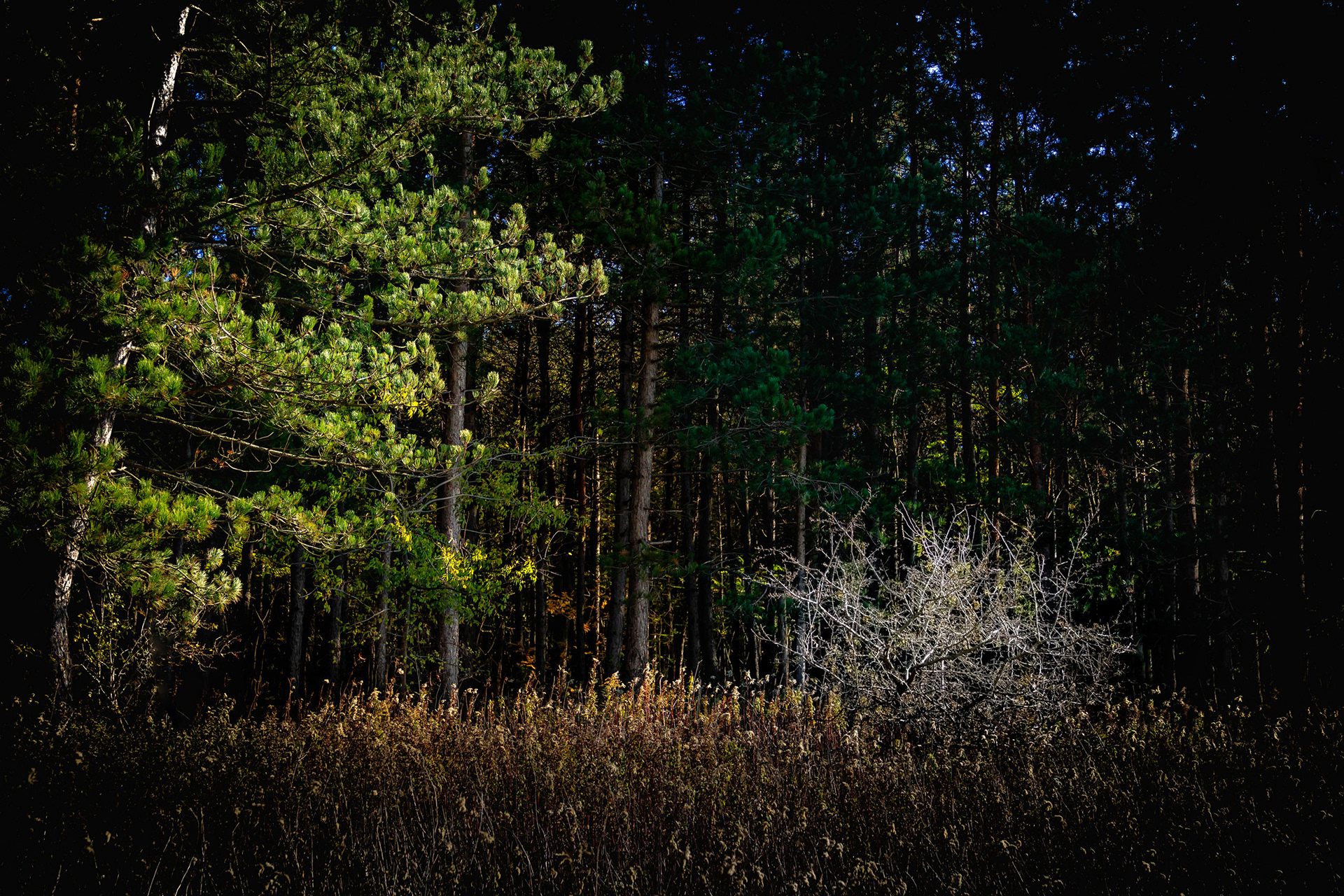 2017 - Sokoro hills, NW Hungary