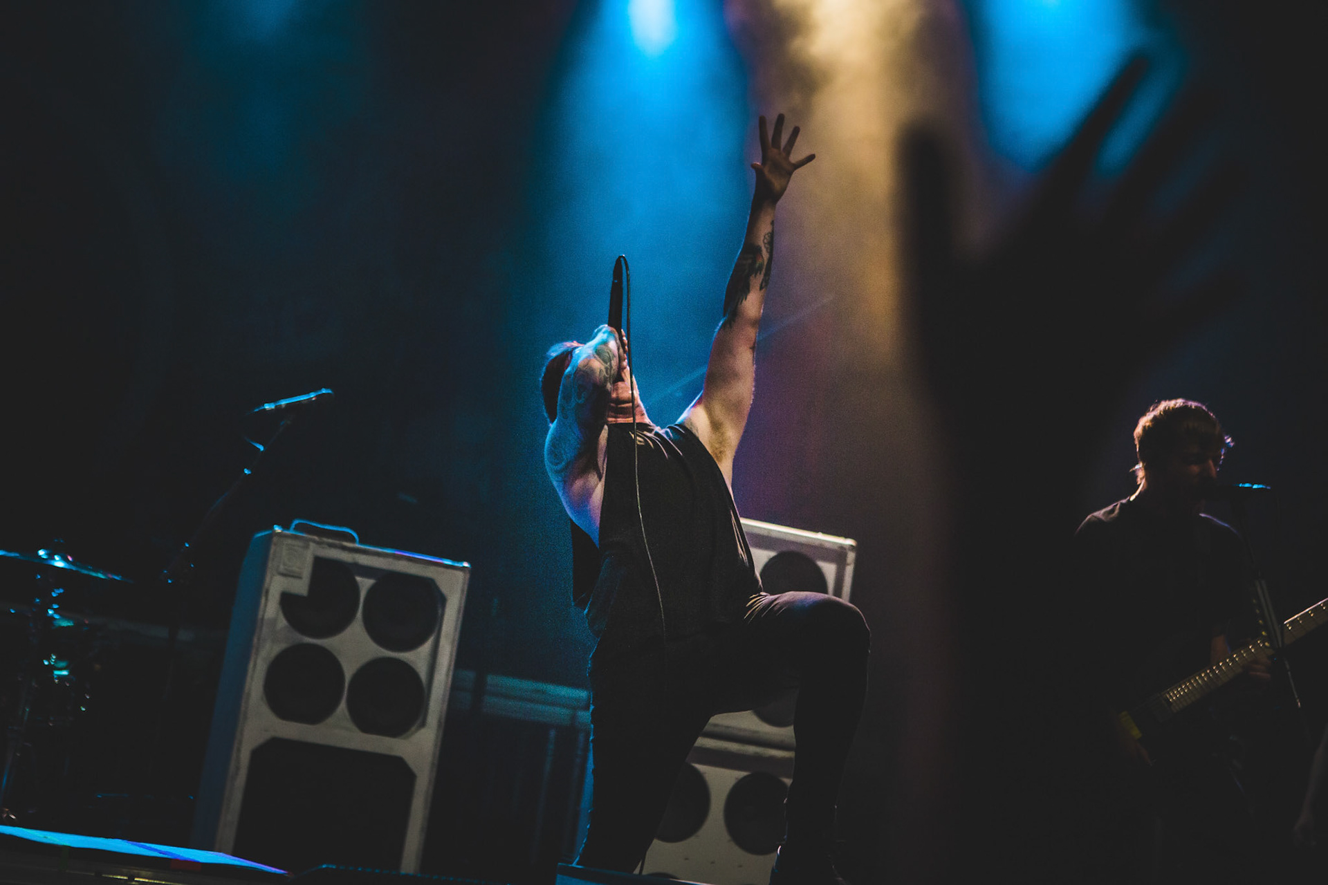 While She Sleeps