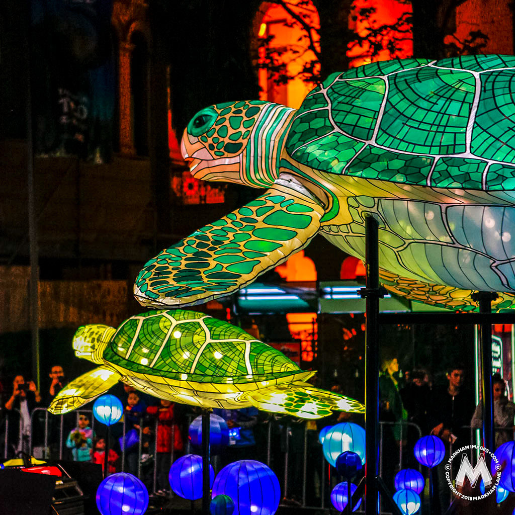 The Taronga Zoo centenary night time parade on Macquarie Street, Sydney, in October 2016 as captured by photographer Markham Lane.
