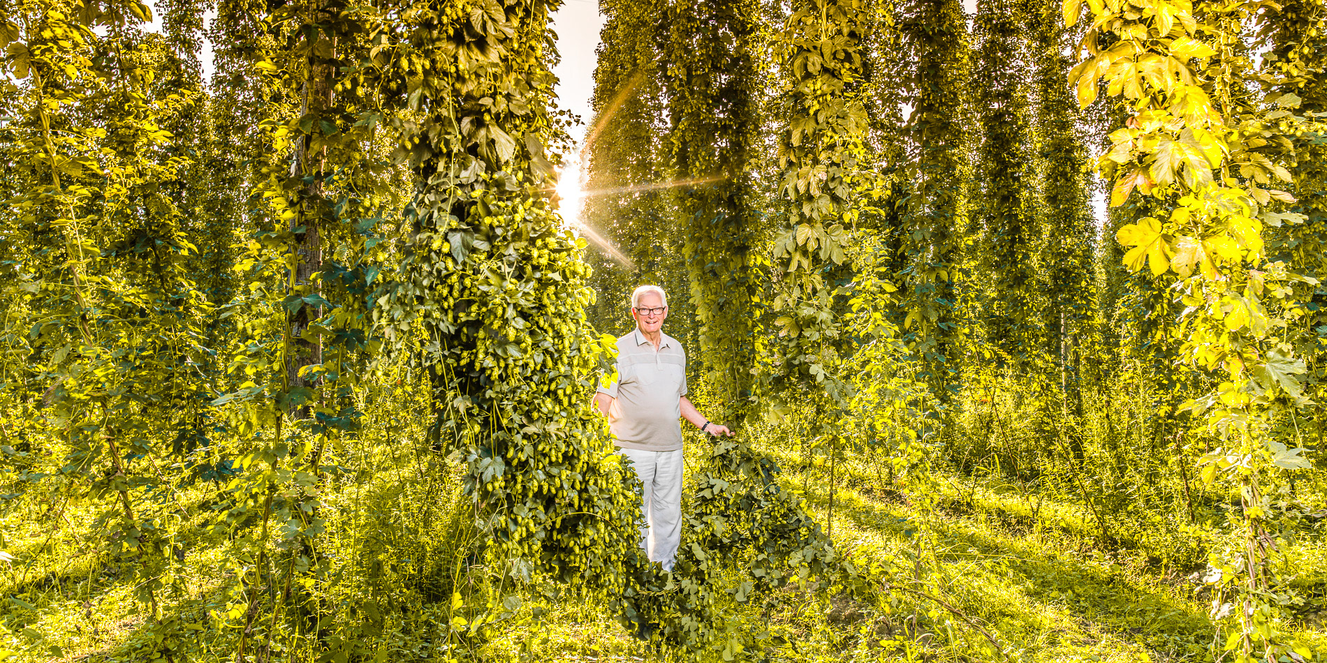 2016: Braumeister DI Dietmar Pelz, im Hopfengarten Leutschach