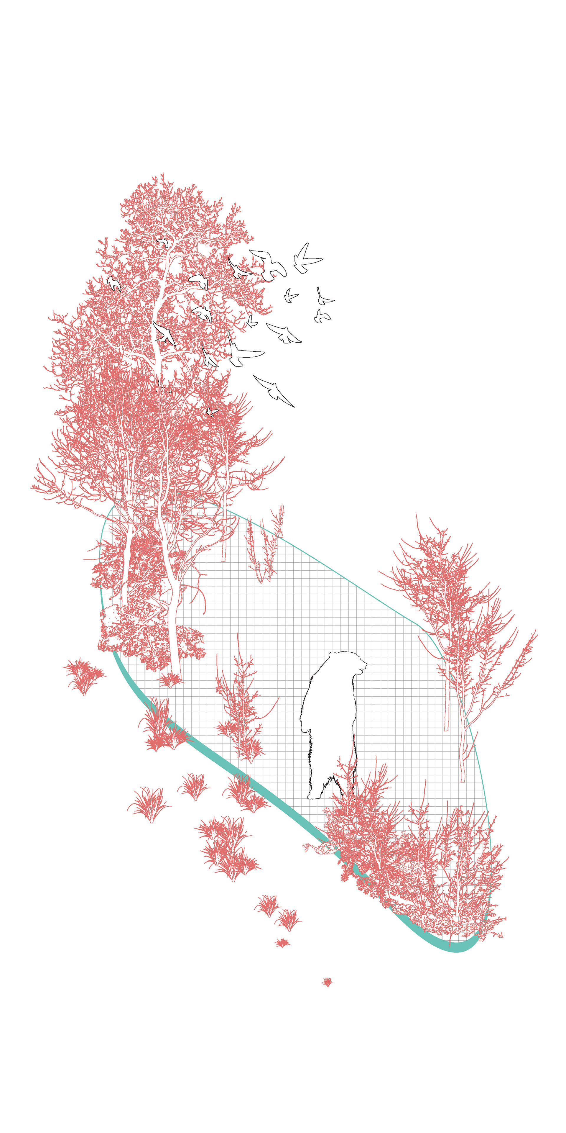 bear grounds