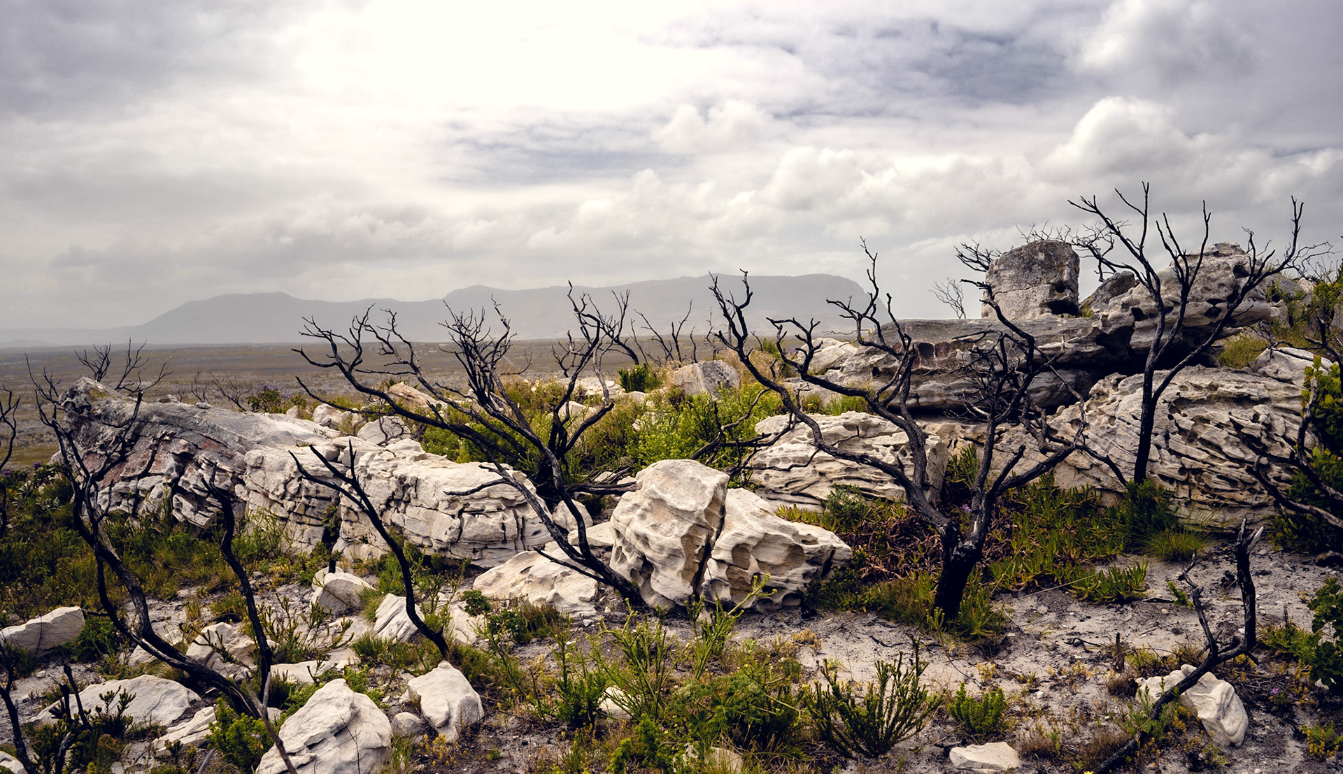 Südafrika nähe Kapstadt