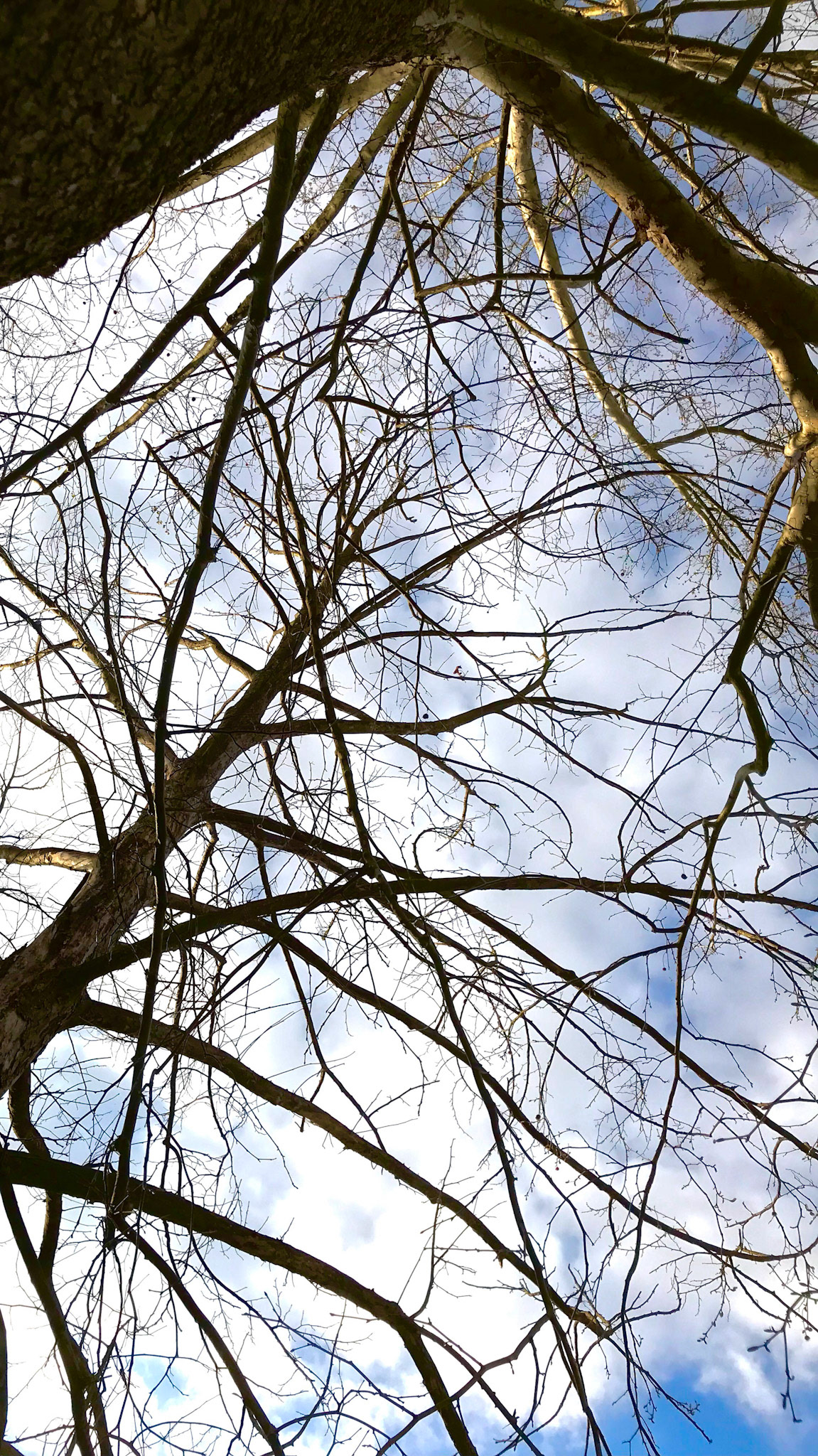 OMG. Another look up.