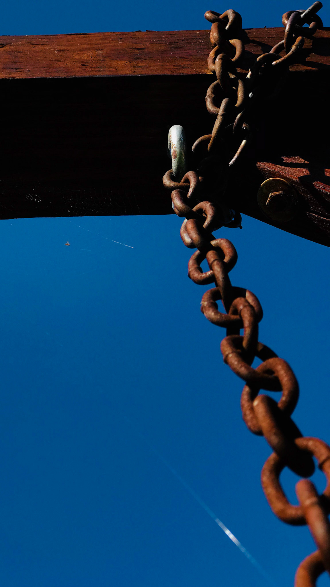 Looking up to find contrast.