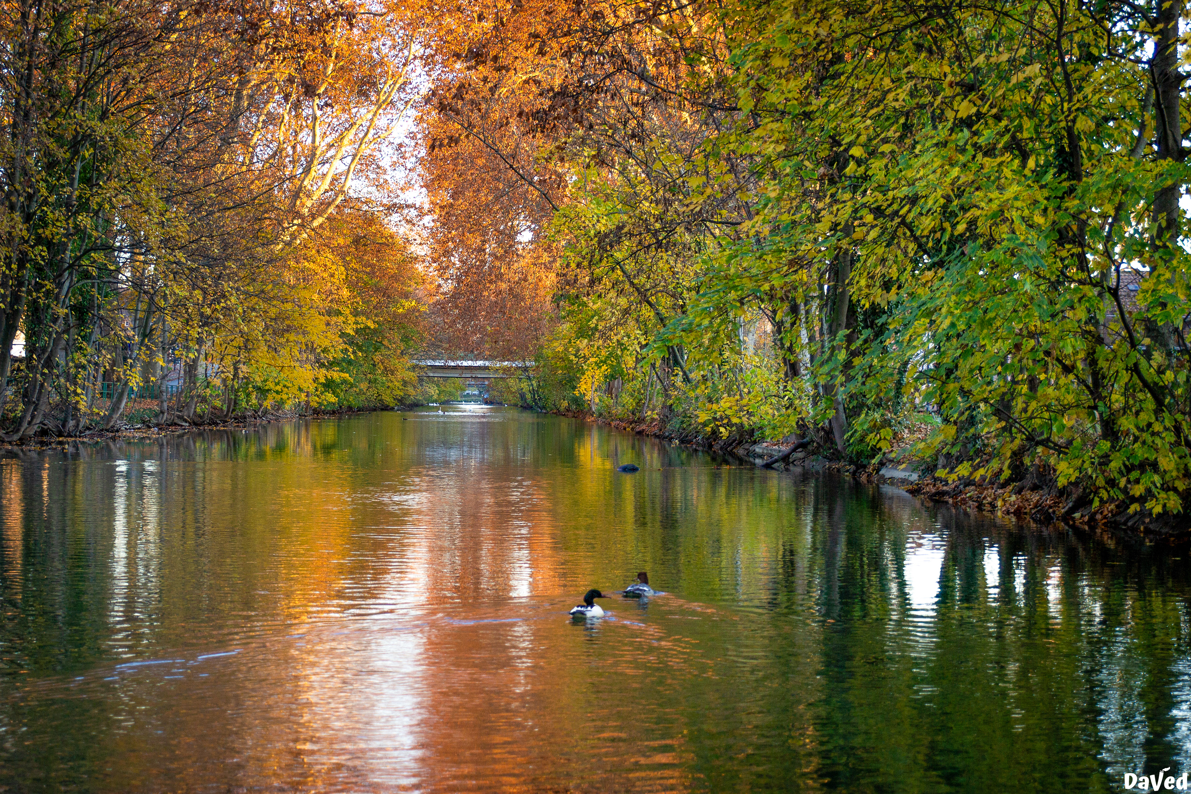Nouveau bassin