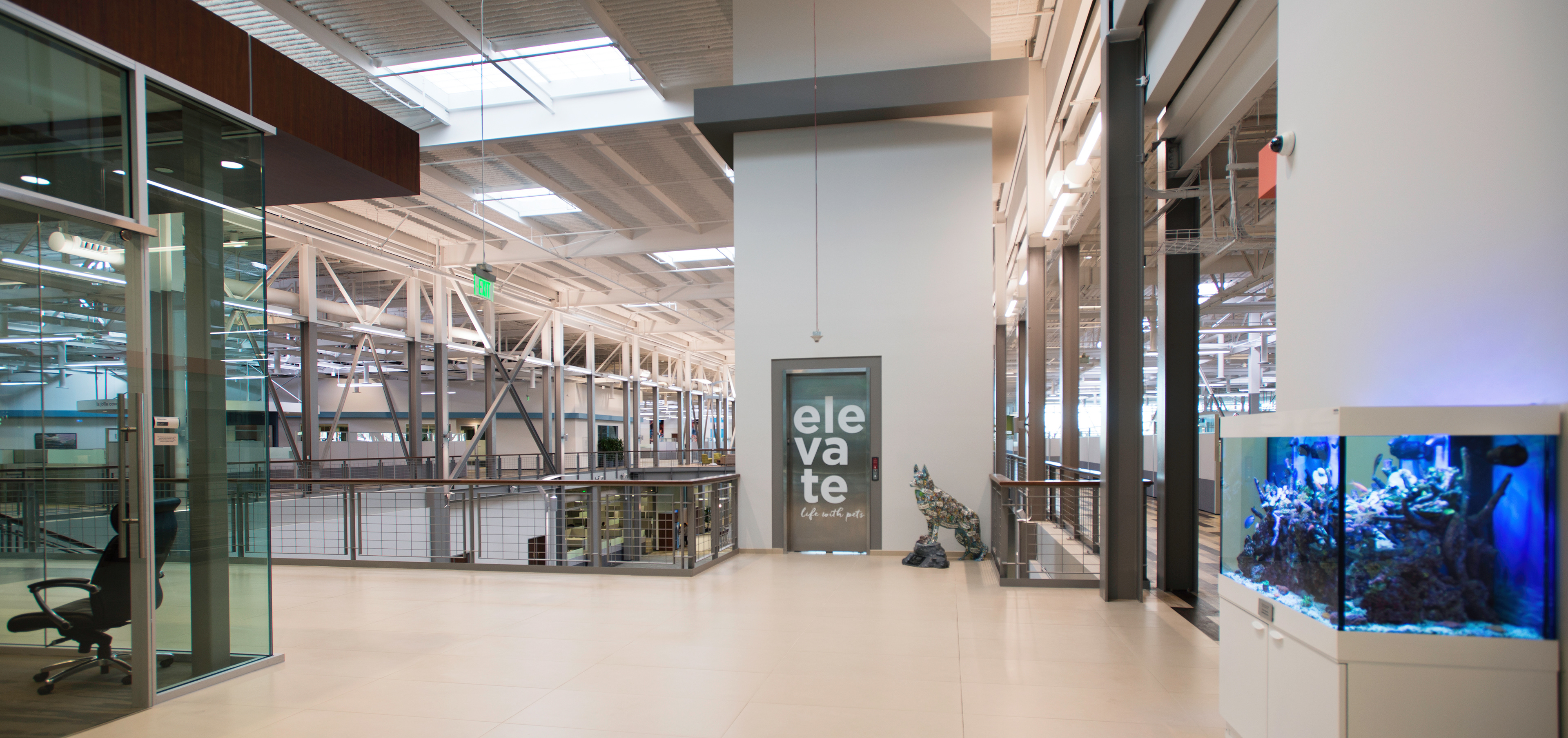 Brand Imagination Petco New Corporate Headquarters Experience