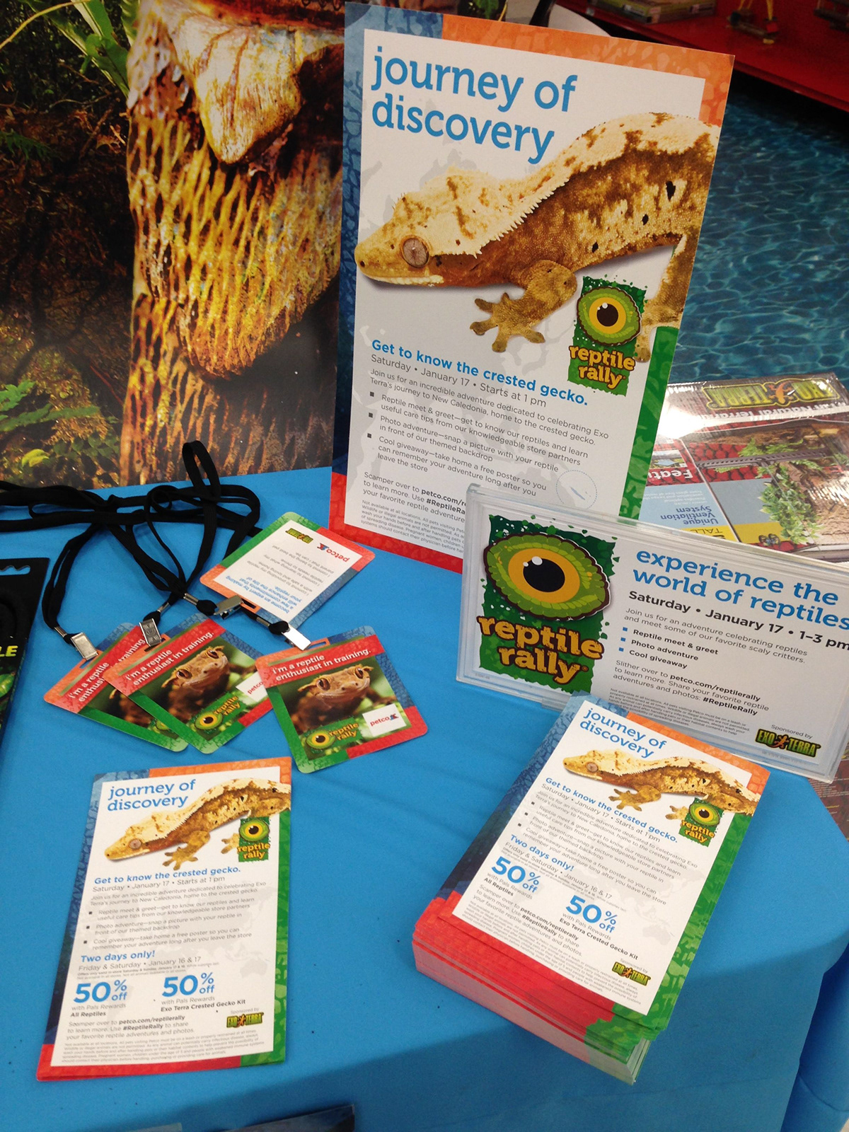 Brand Imagination Petco Reptile Rally