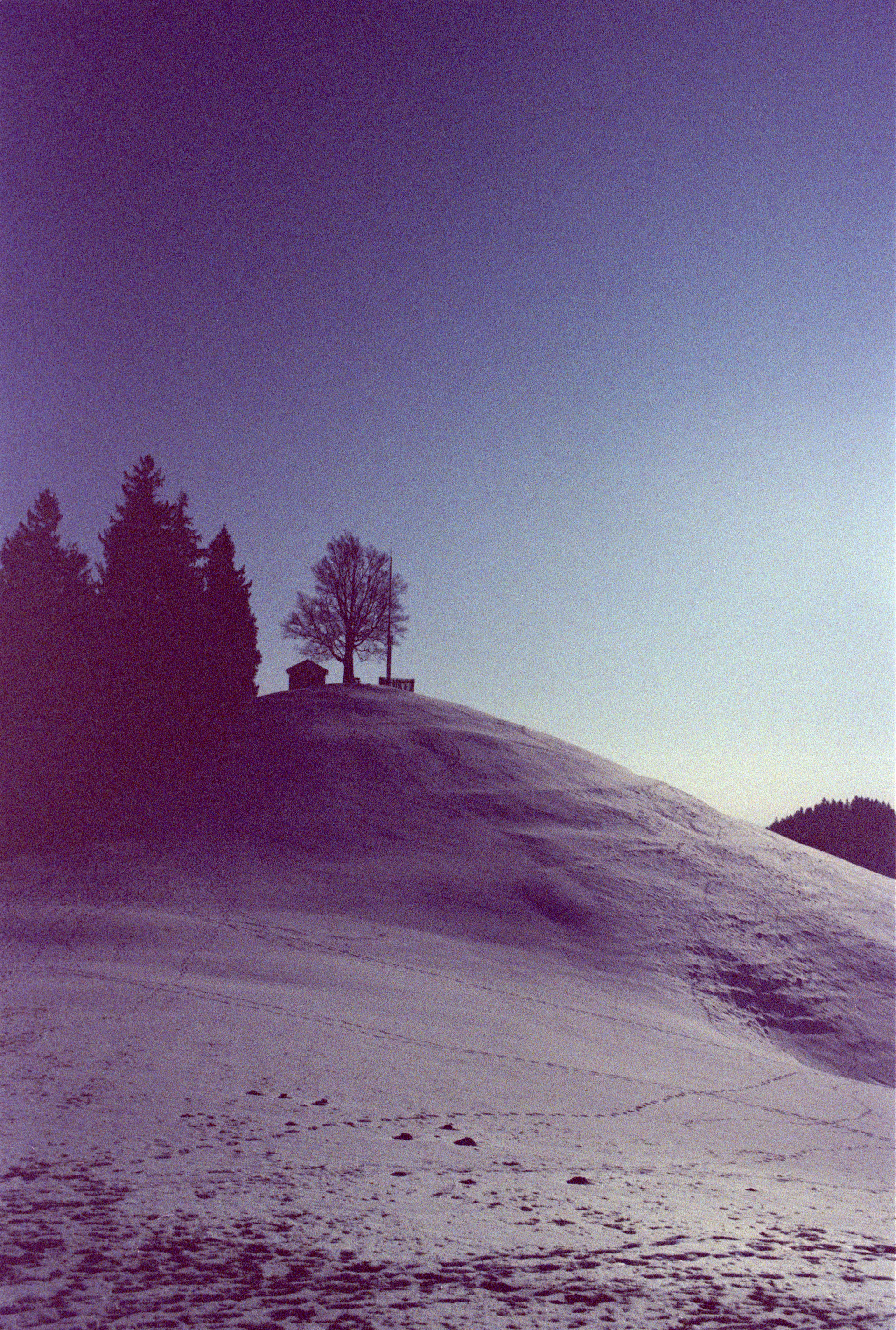 Kreuzentwicklung, abgelaufener Film, Kodak Ektachrom 100 Plus Professional