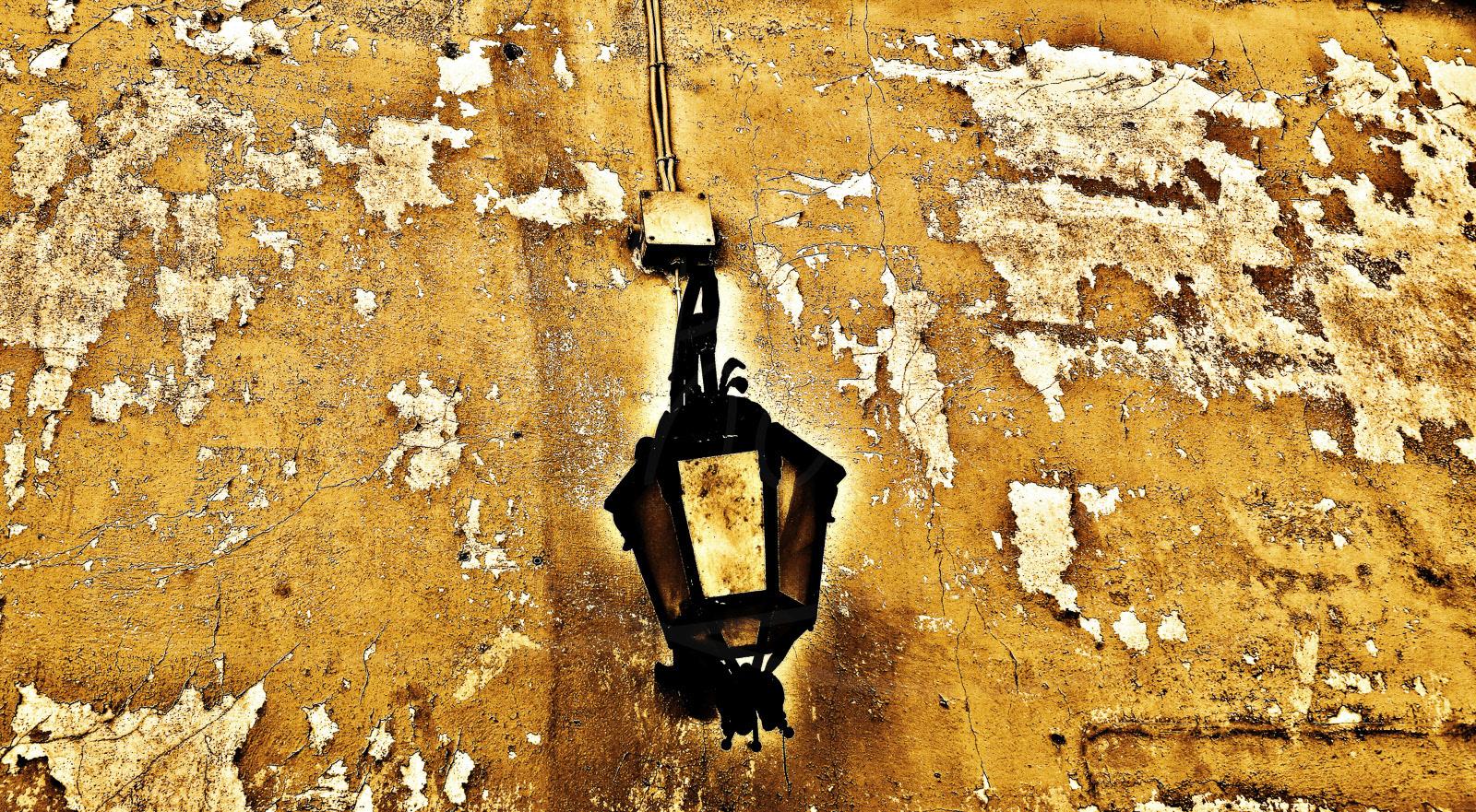 Golden Light