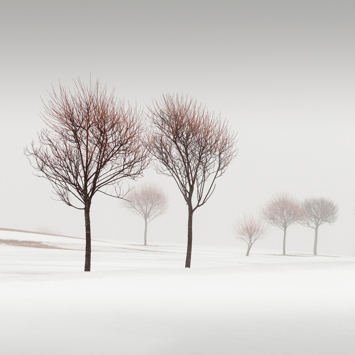 Winter Poetry I