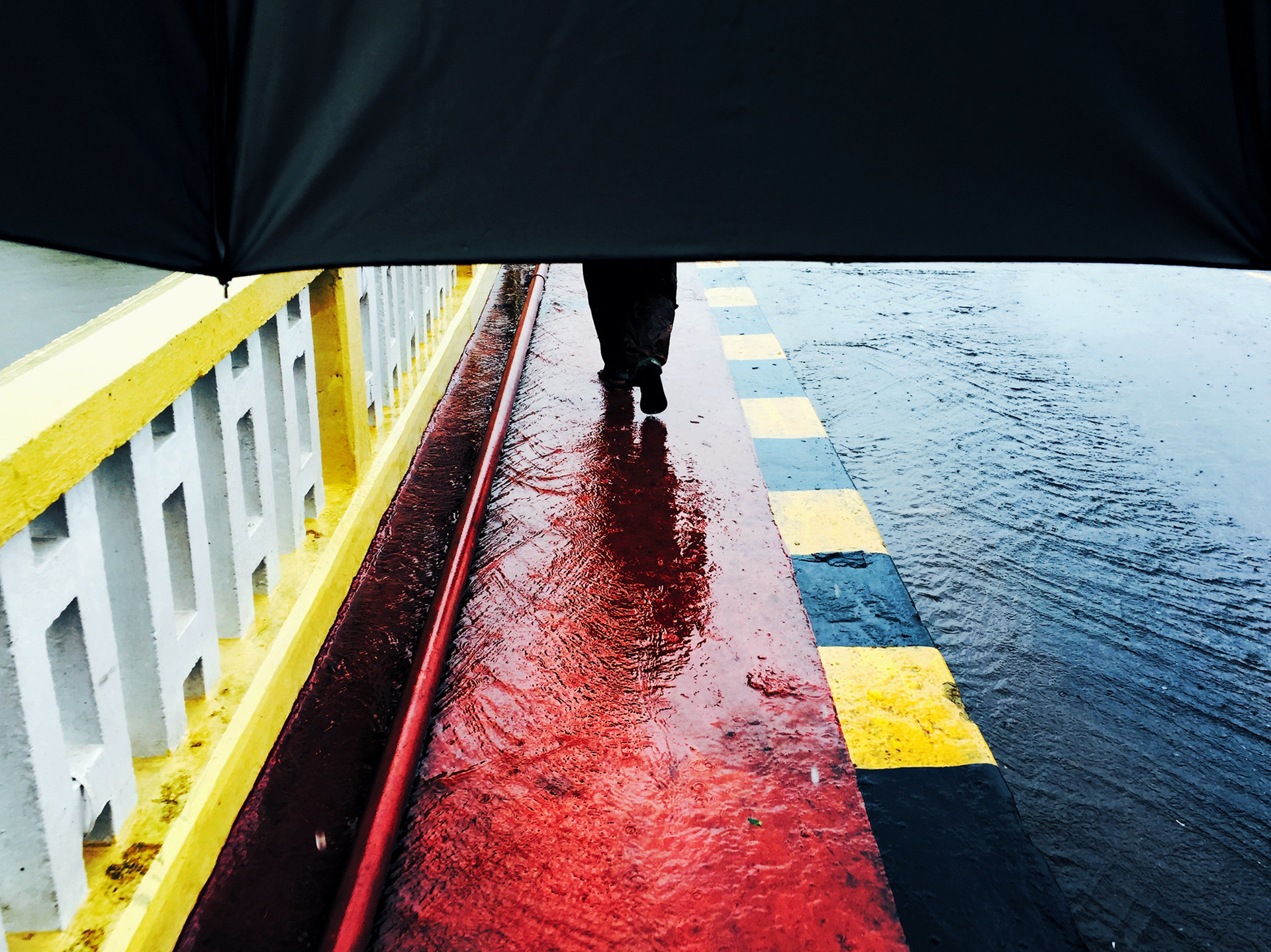Wet path. Goa, 2016