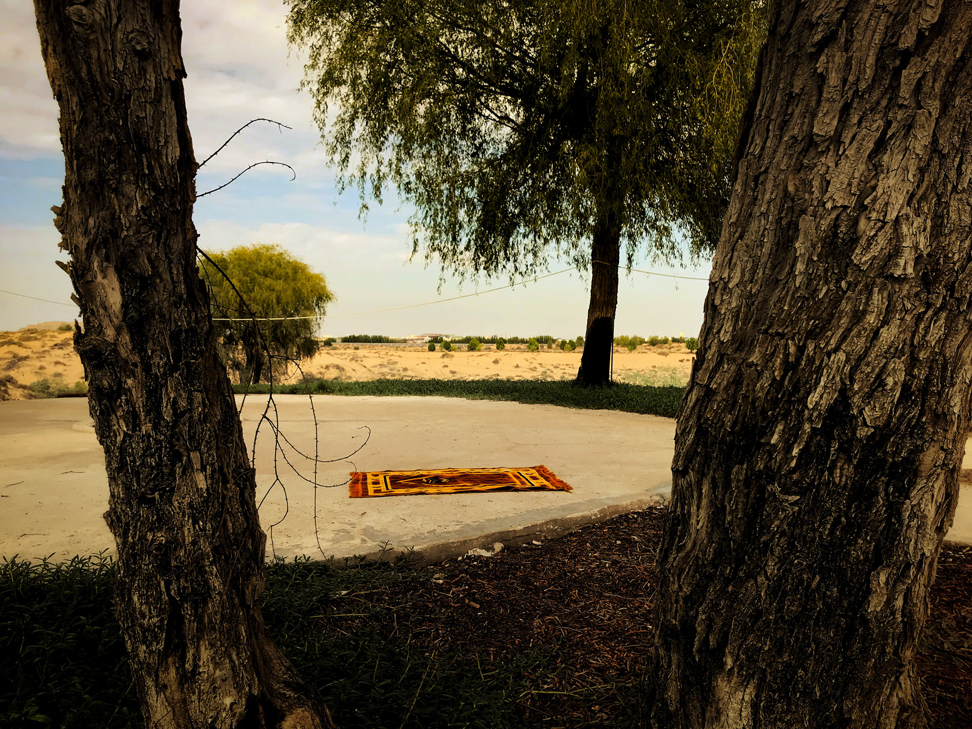 Zuhr. Ajman, 2019