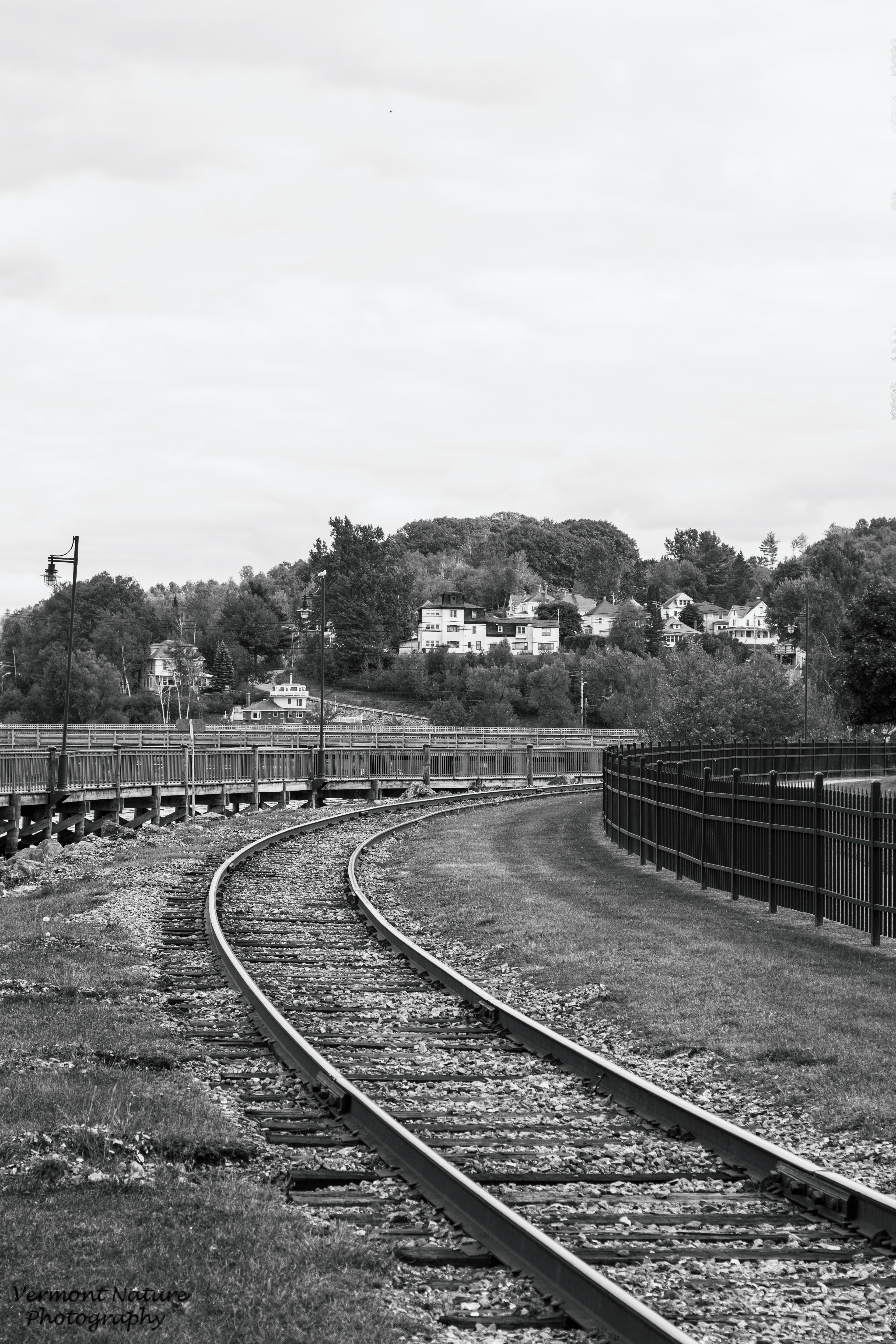 "Tracks" - Newport, VT