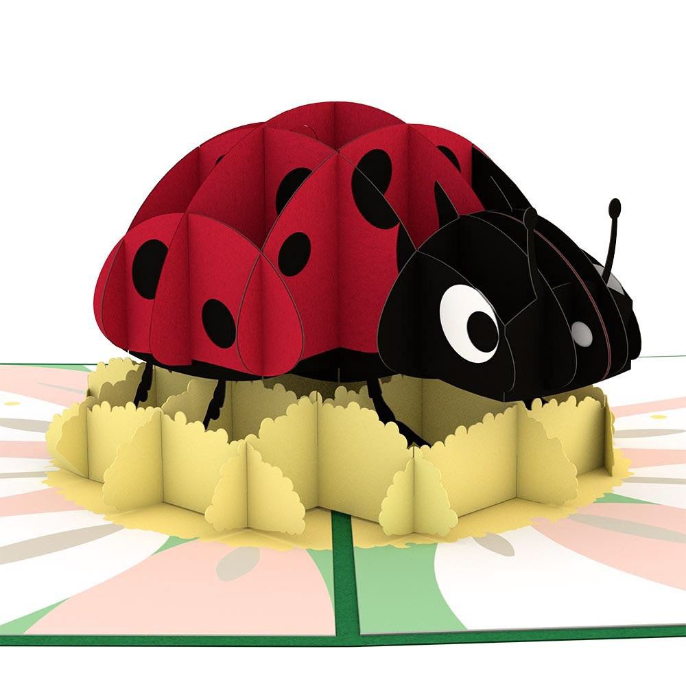 Ladybug