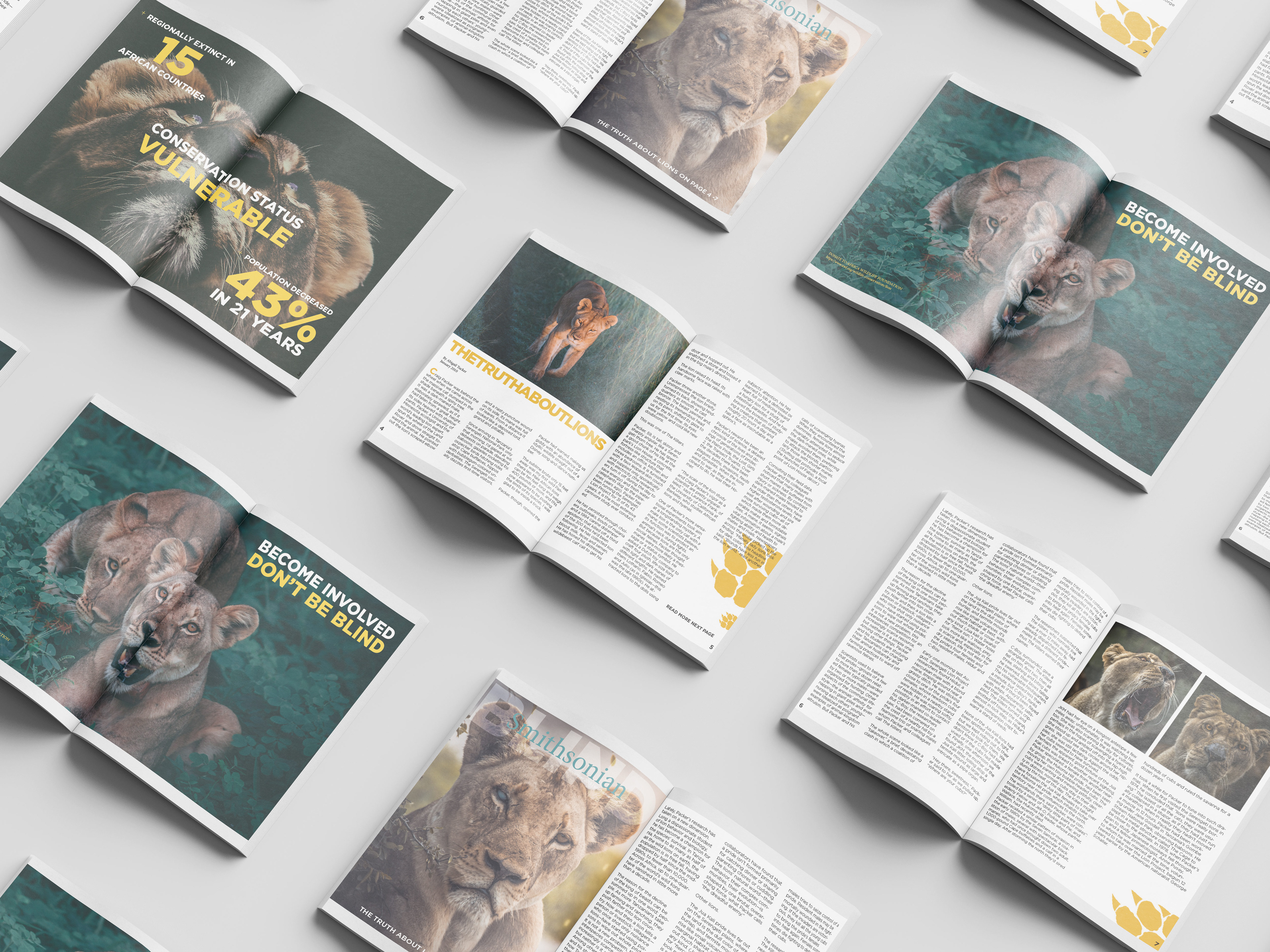 Smithsonian Magazine Mockup for NYU Course