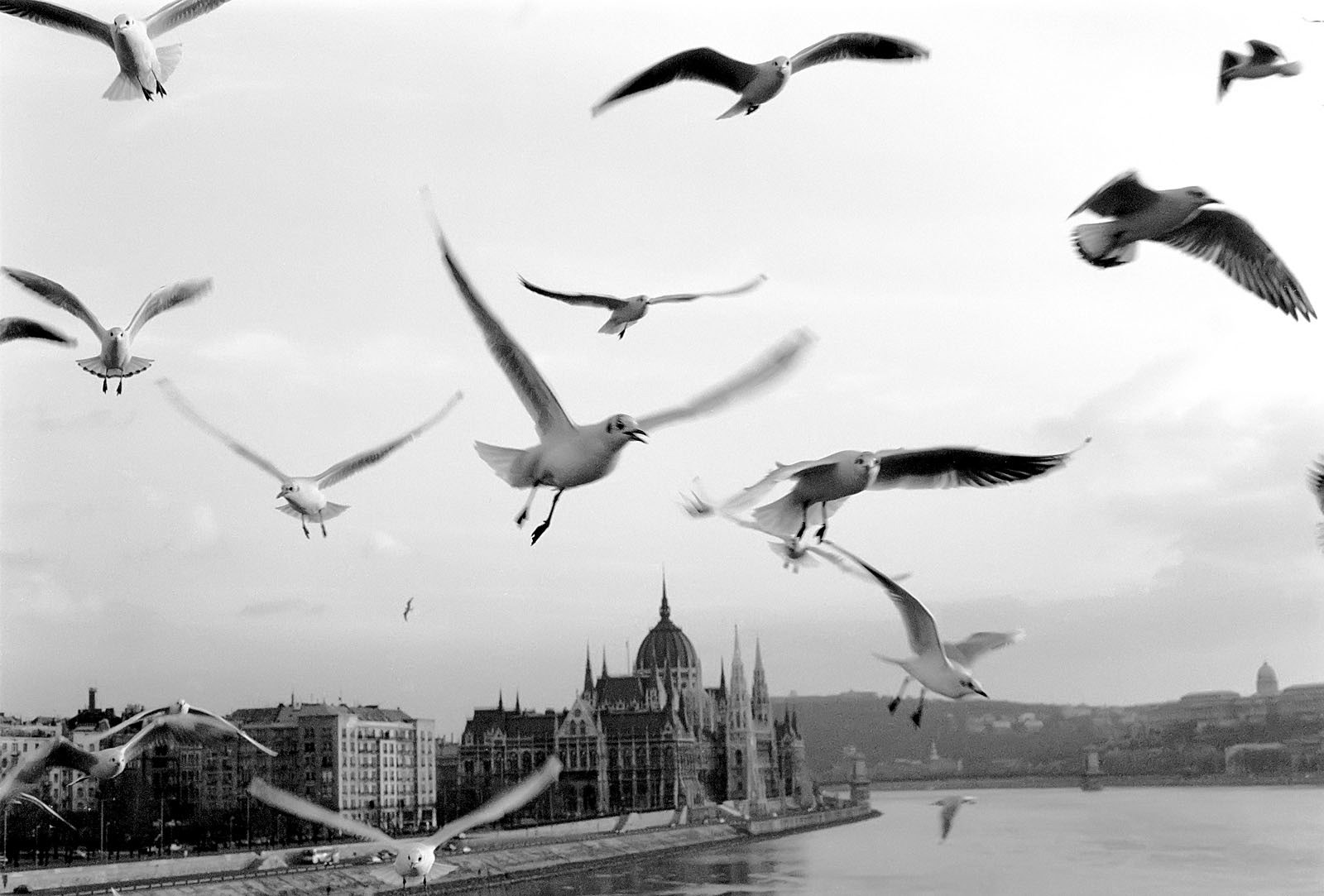 Hungarian Parliament Building