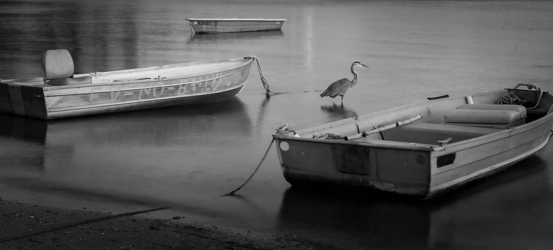 Ever Vigilant on Sarasota Bay