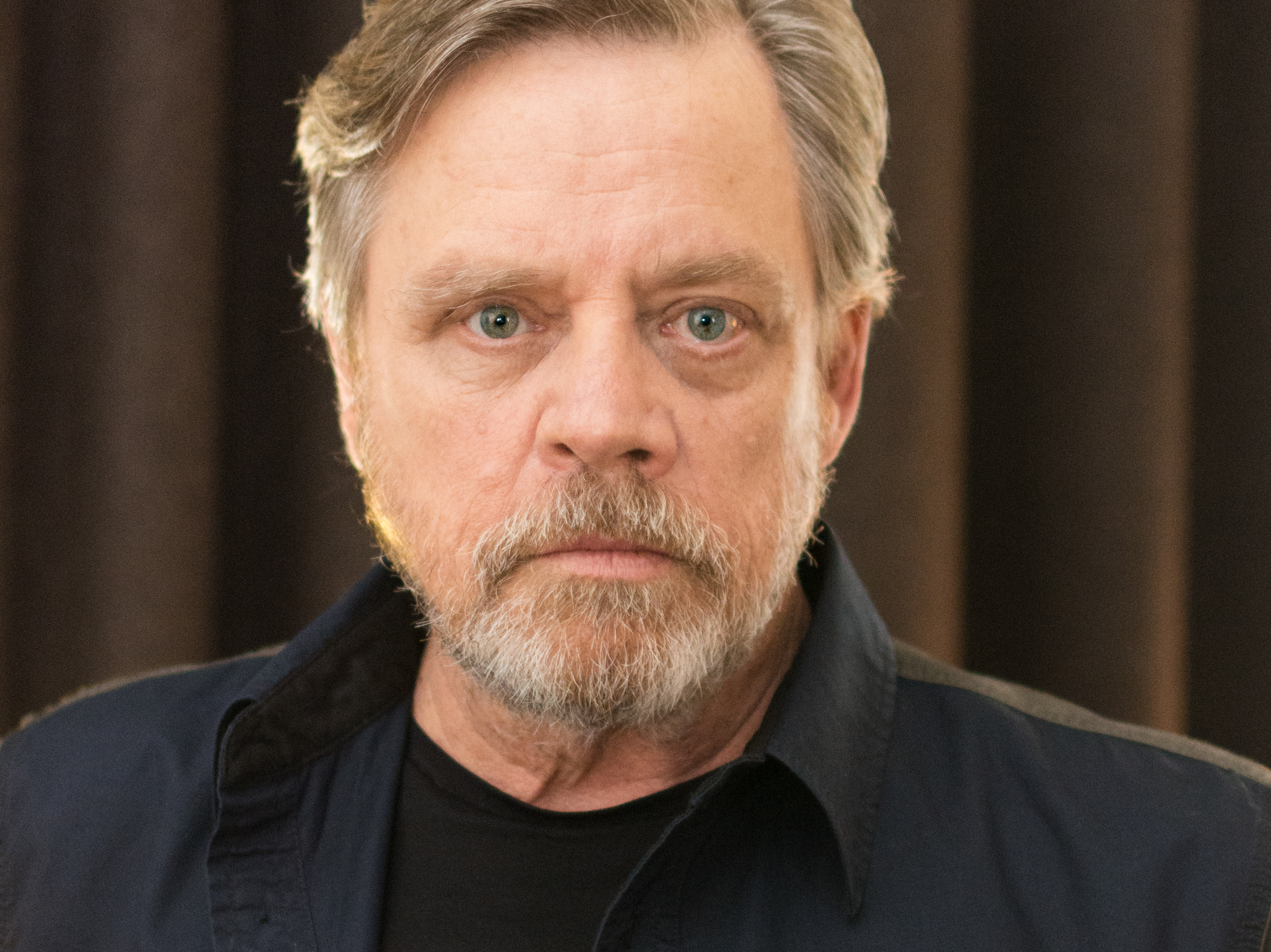 Actor Profile: Mark Hamill