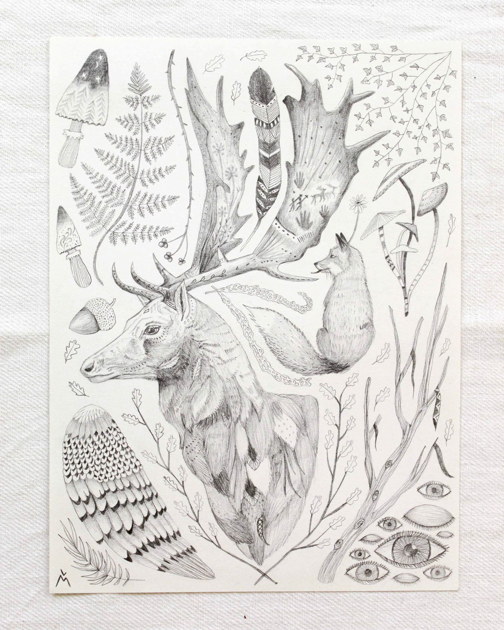 Visions, 21 x 29,7 cm, papier 180 g, graphite // 95 €
