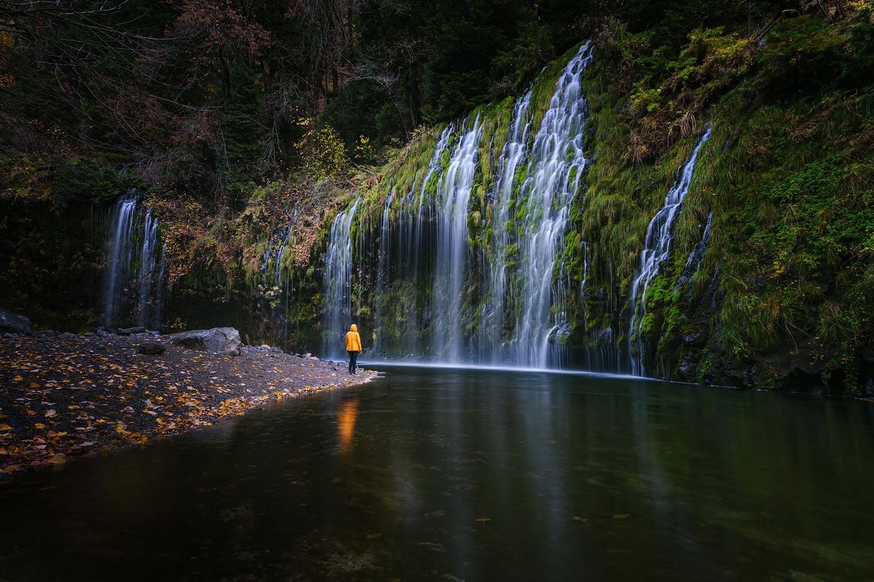 California, USA