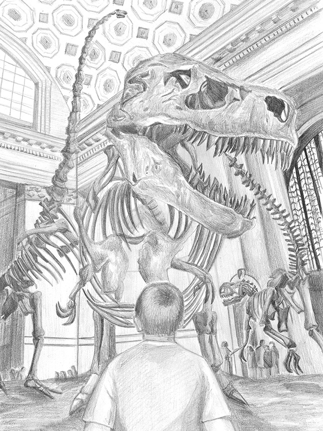 Museum Bones
