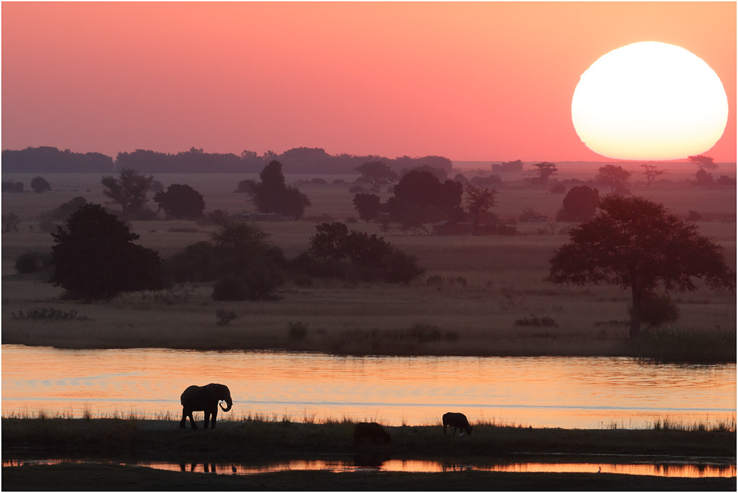 Setting Sun, Chobe River - Botswana
