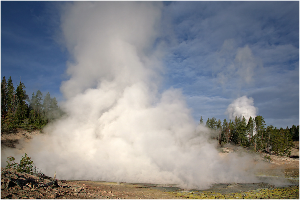 Mud Geyser, Hayden Valley, Yellowstone NP