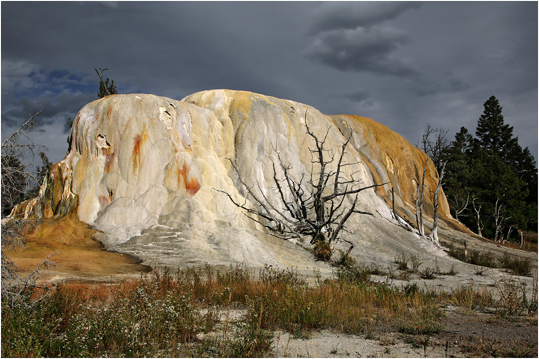 Orange Spring Mound, Mammoth, Yellowstone NP