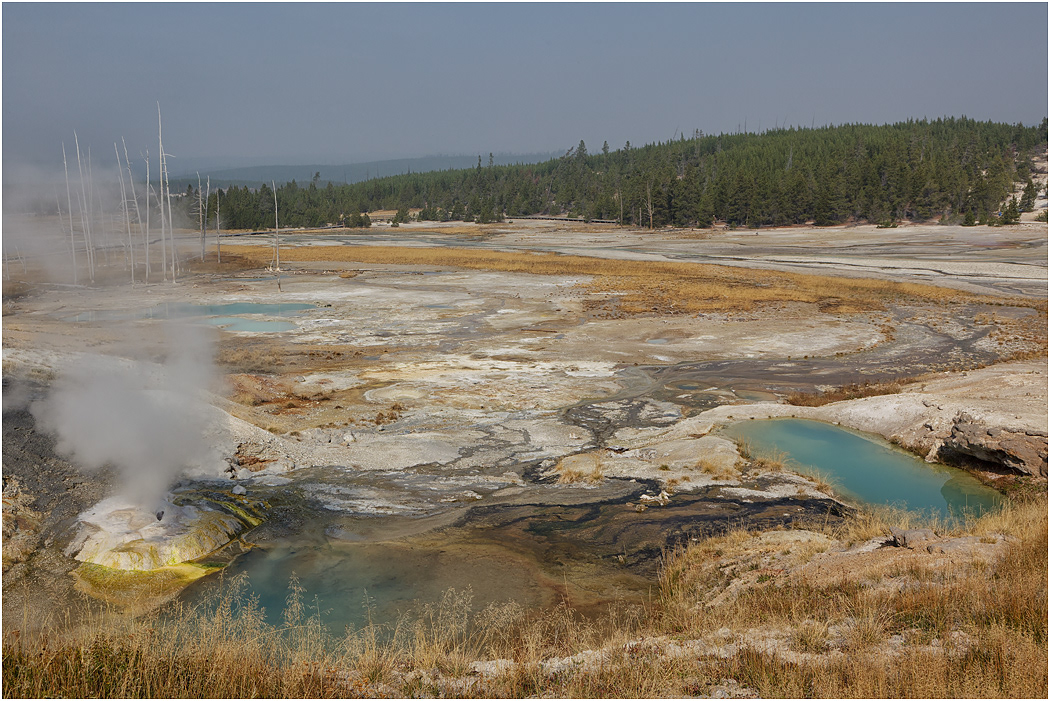 Porcelain Basin, Norris, Yellowstone NP