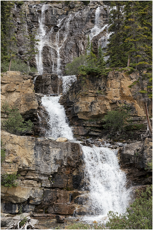 Tangle Creek falls, Icefields Parkway, Jasper