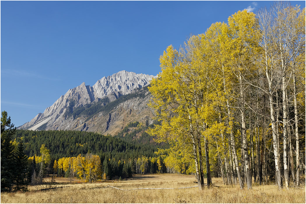 Mt. Ishbel from Hillsdale Meadows, Banff NP