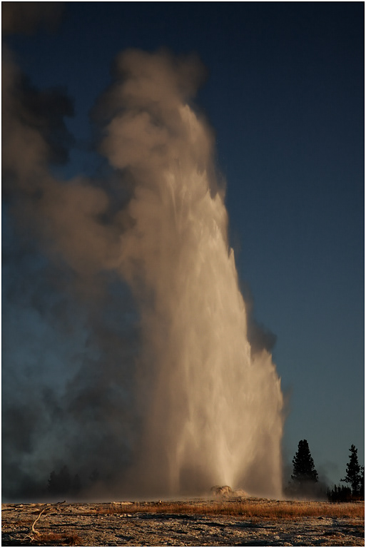 Old Faithfull erupting at dusk, Yellowstone NP