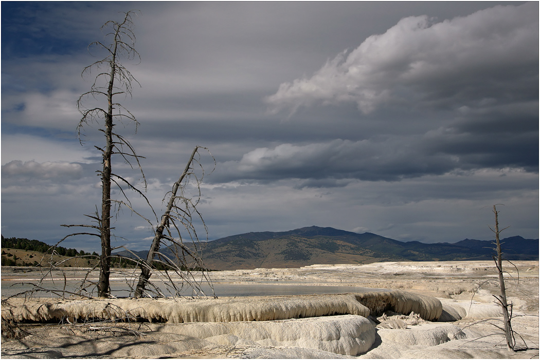 Upper Terrace, Mammoth, Yellowstone NP