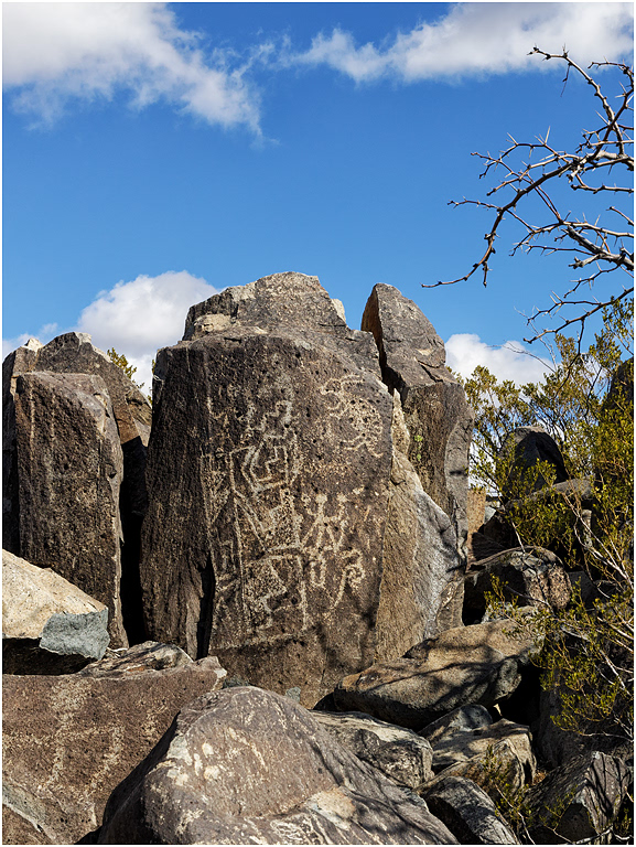 Petroglyphs, Three Rivers, NM