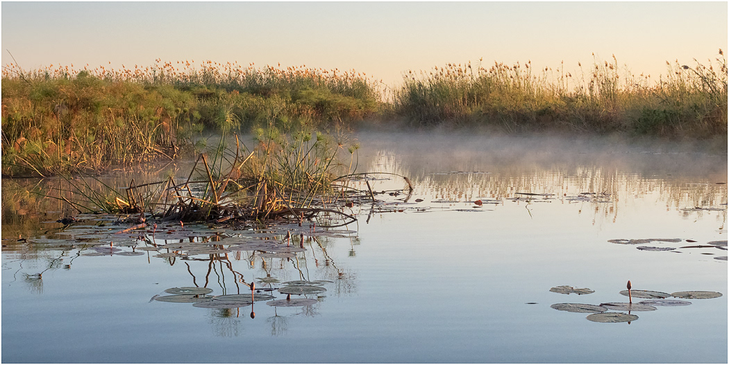 Mist on the Chobe River - Botswana