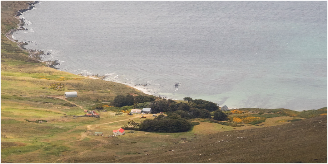 The Settlement, Carcass Island