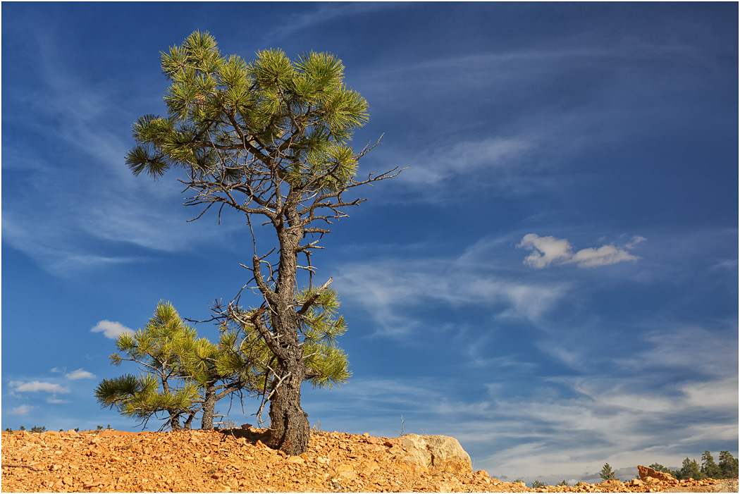 Bryce Canyon, Utah