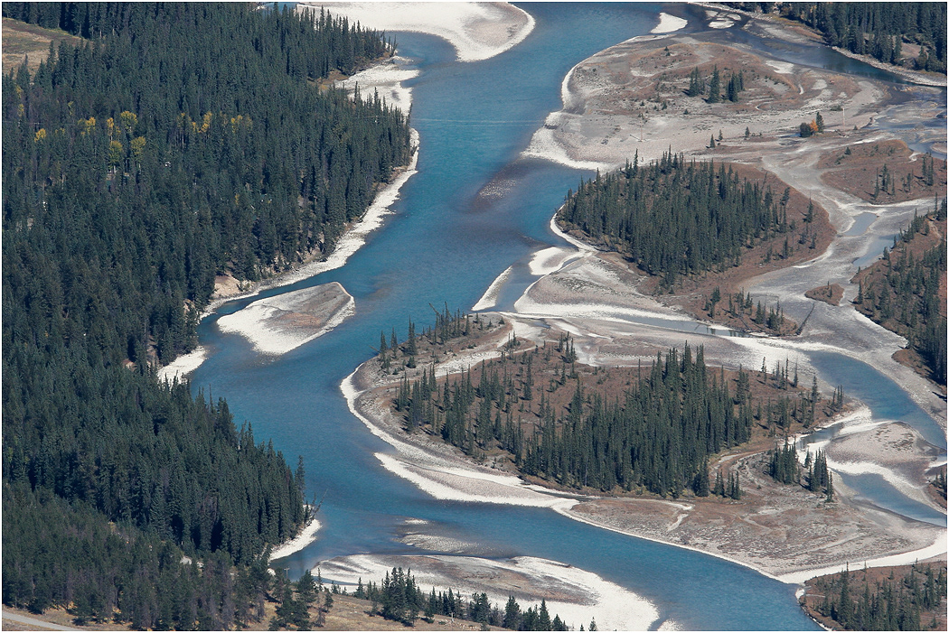 Athabasca River from Whistler Mountain, Jasper