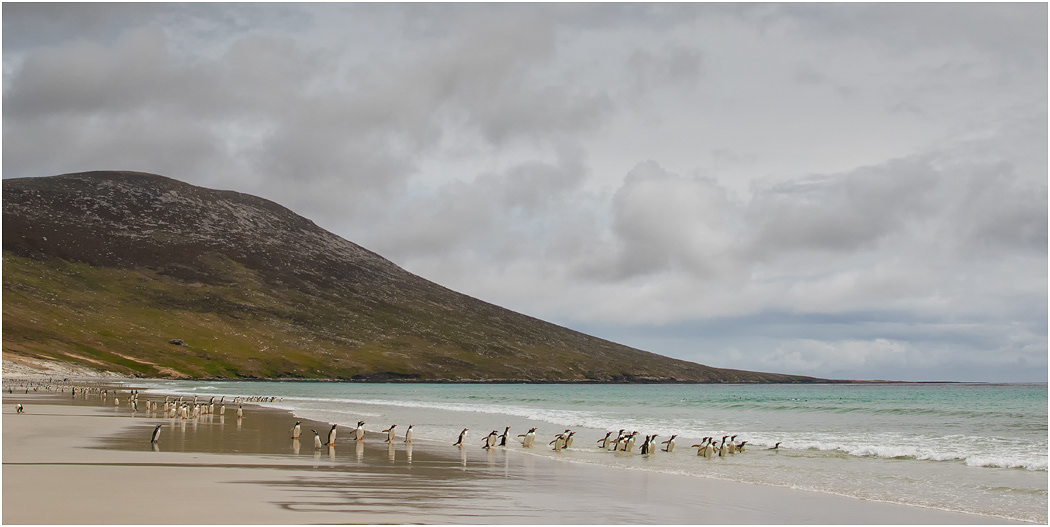 North Beach, The Neck, Saunders Island