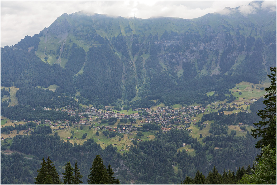 Wengen from Allmendhubel