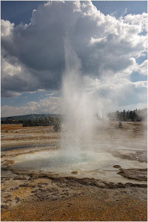 Sawmill Geyser, Upper Geyser Basin, Yellowstone NP