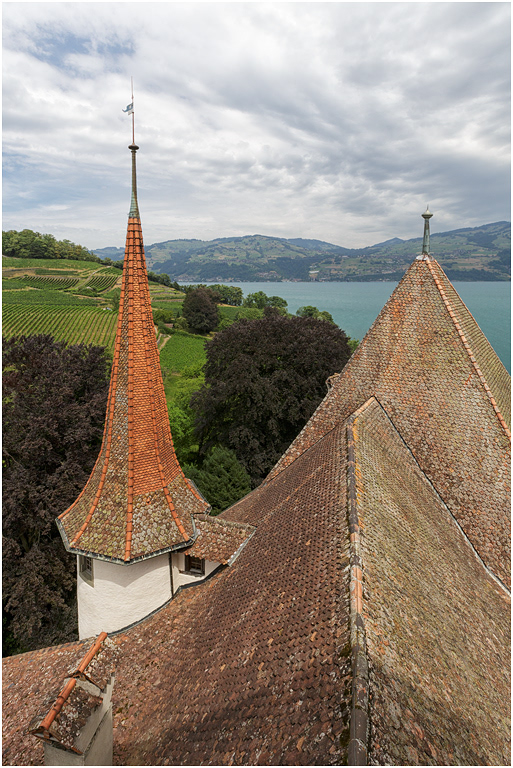 Rooftops at Schloss Speiz, Lake Thun