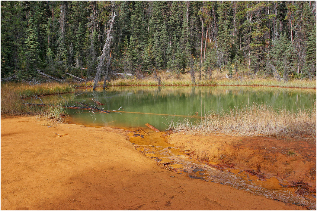 Iron rich springs, Paint Pots, Kootenay NP, BC.jpg
