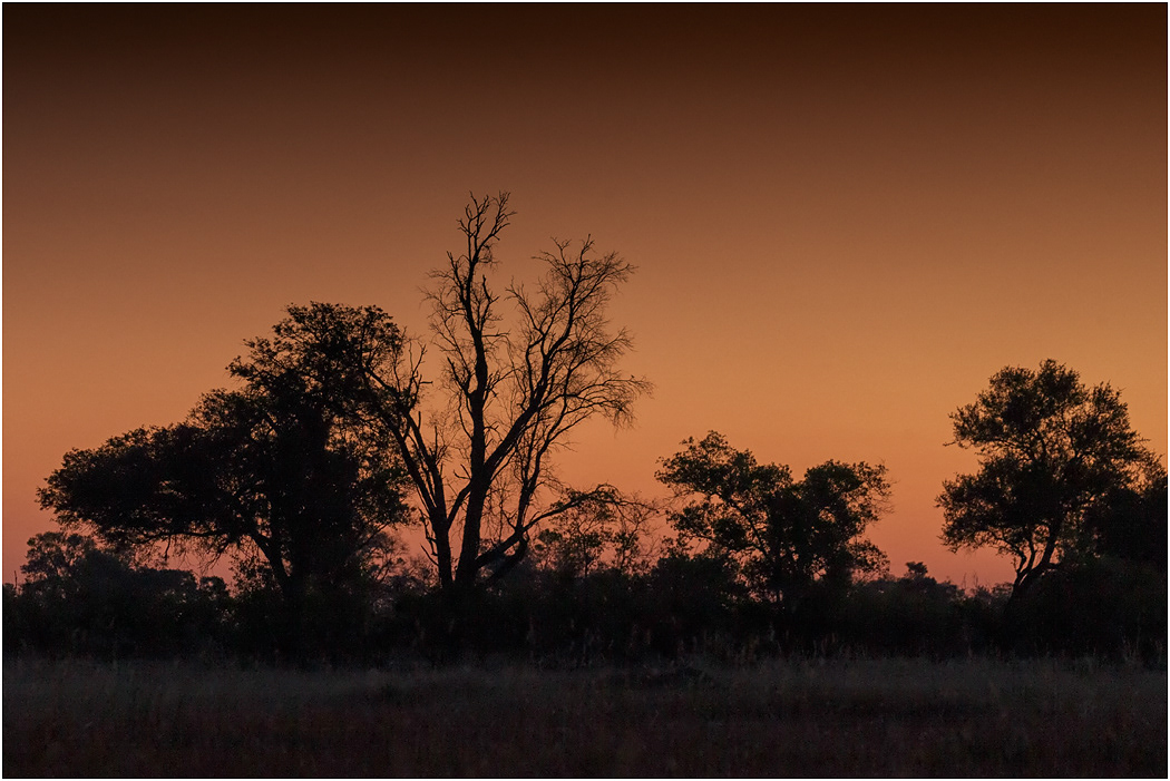 Sunset at Khwai - Botswana