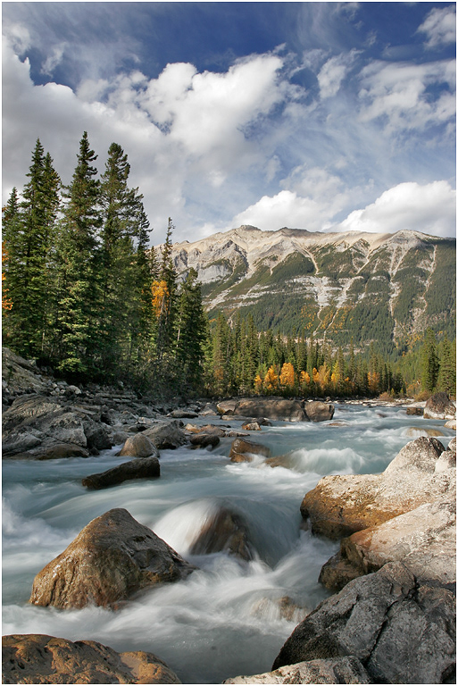 Yoho River, Yoho NP, BC